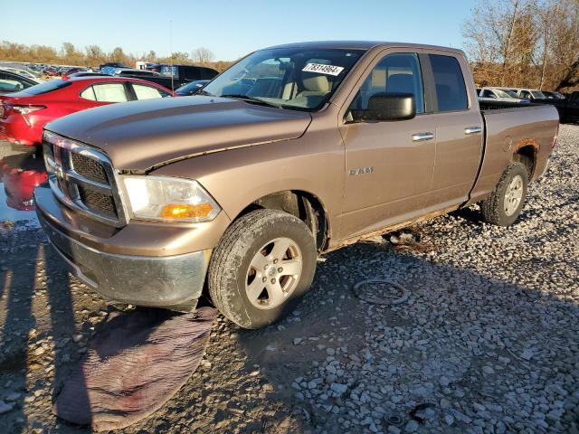 dodge ram 1500 2010 1d7rv1gp3as105497