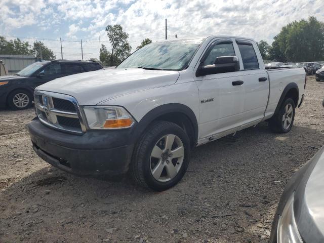 dodge ram 1500 2010 1d7rv1gp6as203116