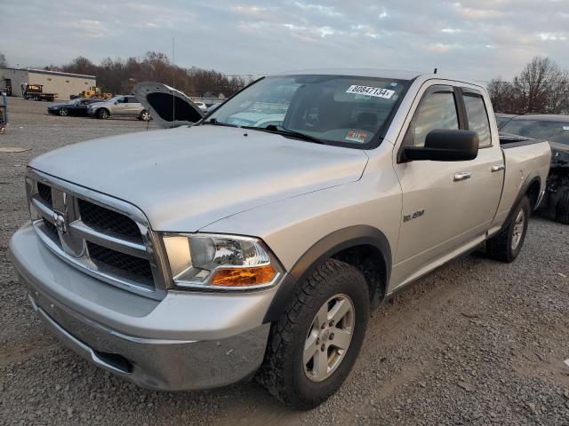 dodge ram 1500 2010 1d7rv1gp8as256383