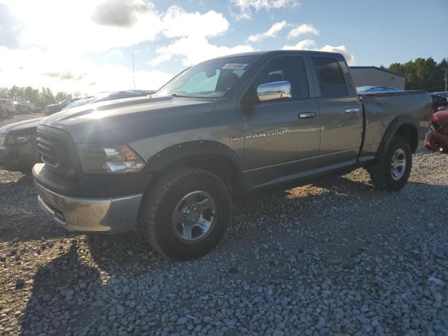 dodge ram 1500 2011 1d7rv1gt1bs566602