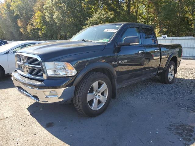 dodge ram 1500 2010 1d7rv1gt2as207757