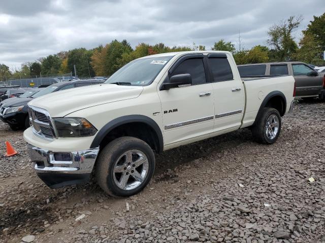 dodge ram 1500 2010 1d7rv1gt3as226995