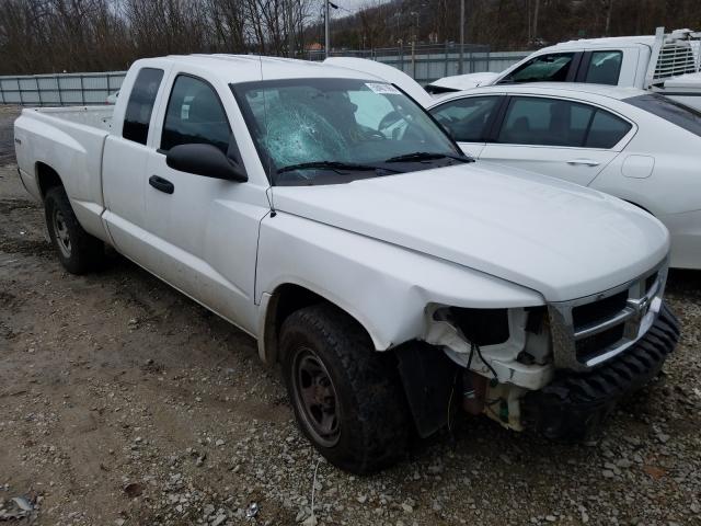 dodge dakota st 2011 1d7rw2bk7bs662011