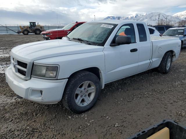 dodge dakota 2010 1d7rw3bk1as207966