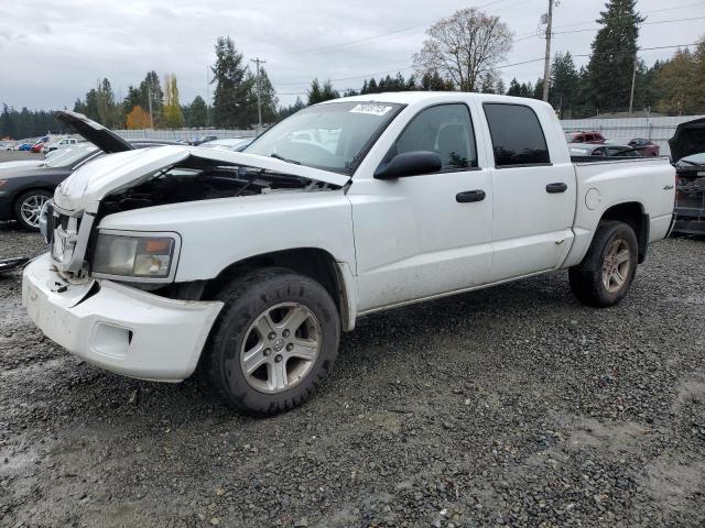 dodge dakota 2011 1d7rw3gk4bs522786