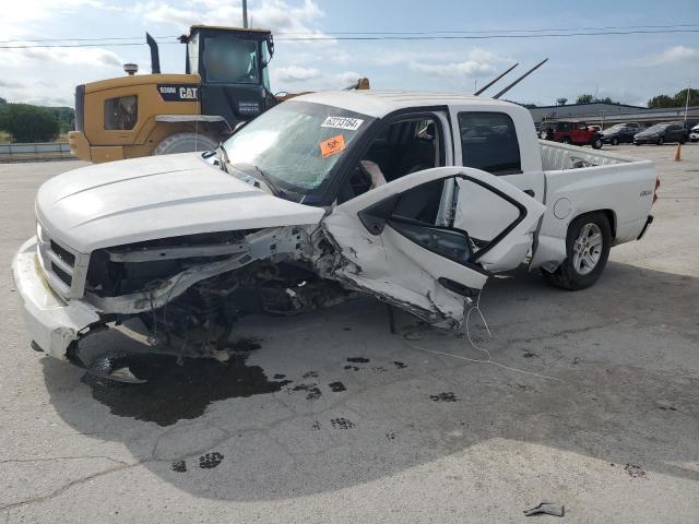 dodge dakota 2010 1d7rw3gk7as225834