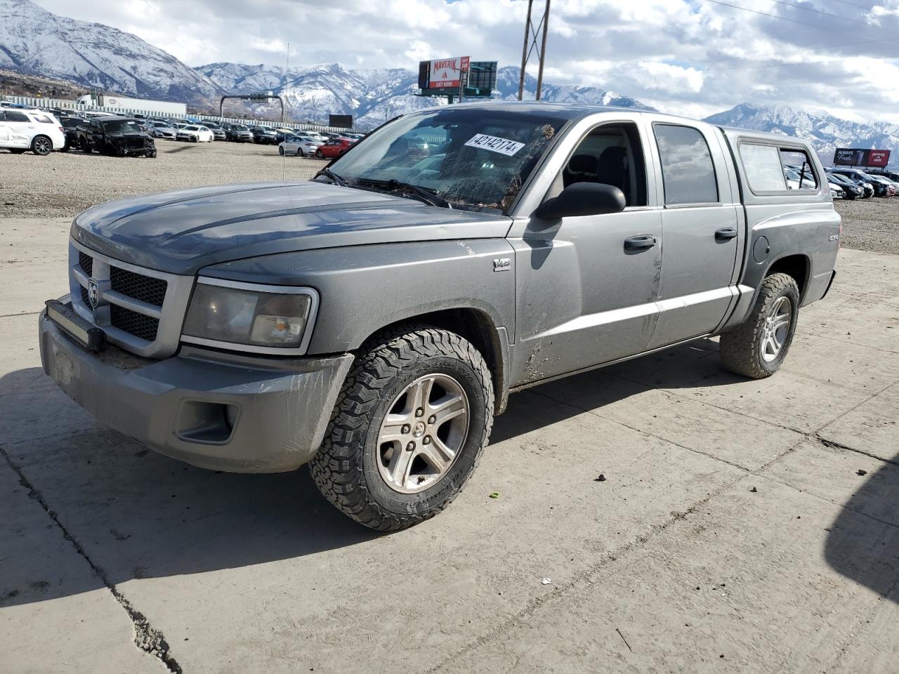 dodge dakota 2011 1d7rw3gp0bs713116