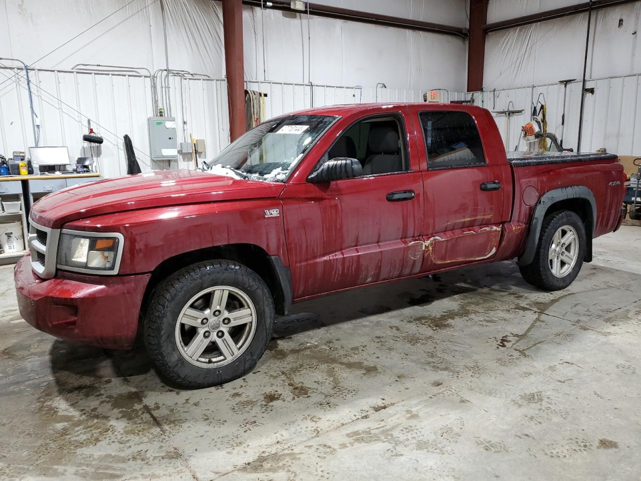 dodge dakota 2011 1d7rw3gp1bs559516