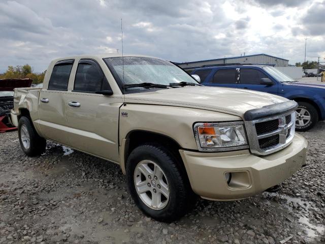 dodge dakota slt 2011 1d7rw3gp3bs628092