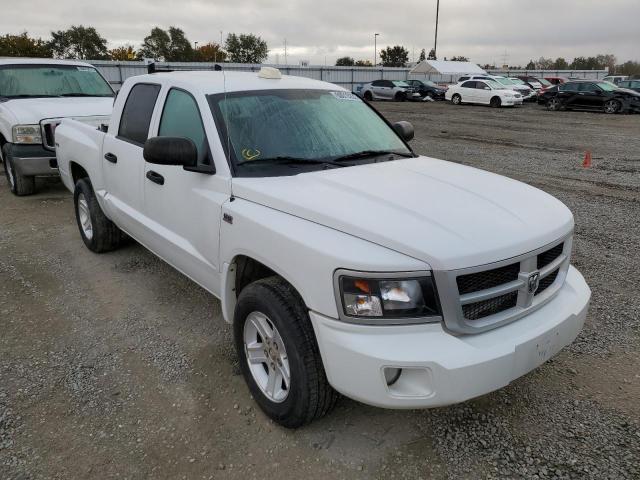 dodge dakota slt 2011 1d7rw3gp4bs572129