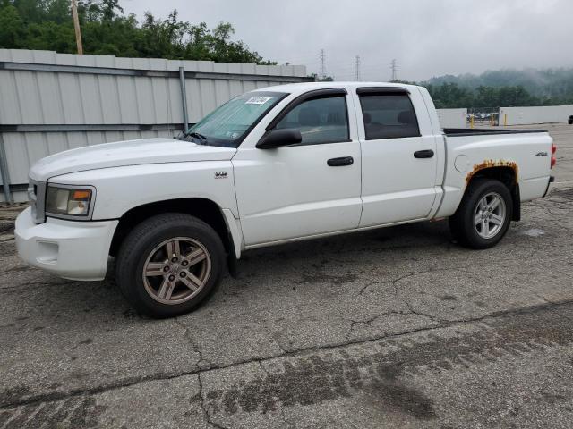 dodge dakota 2011 1d7rw3gp7bs701917