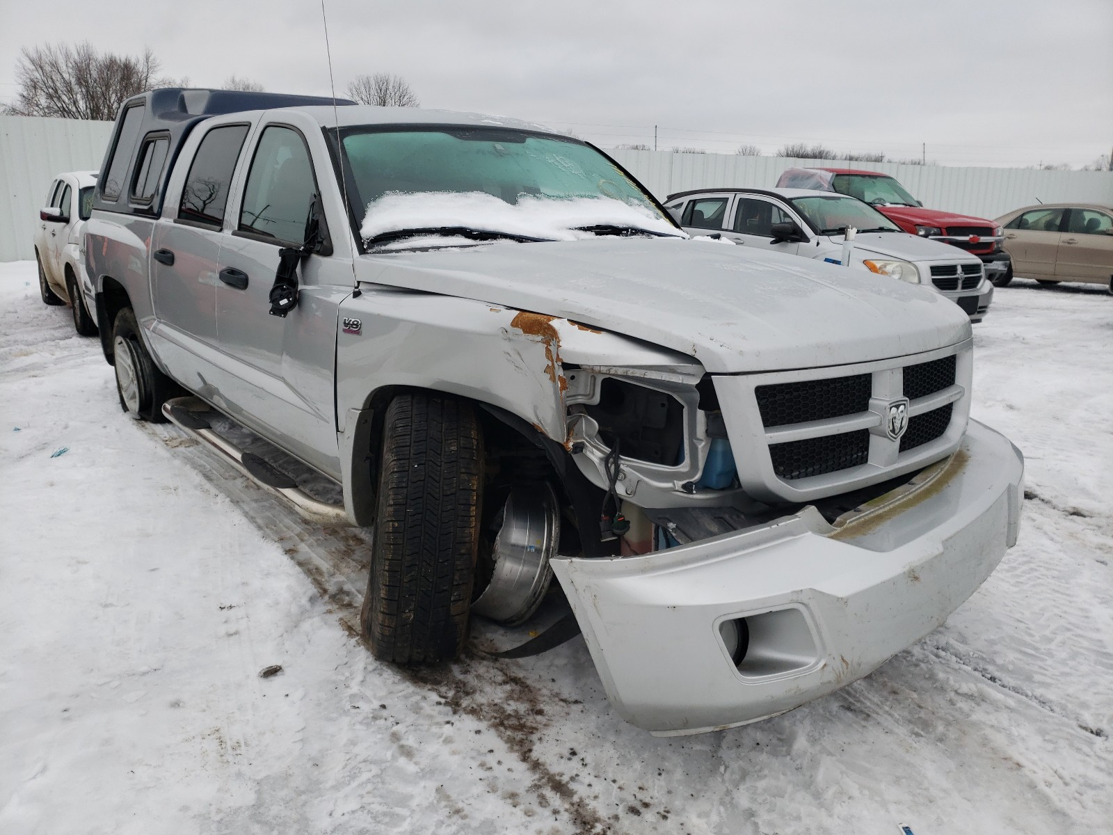 dodge dakota slt 2011 1d7rw3gp9bs709677