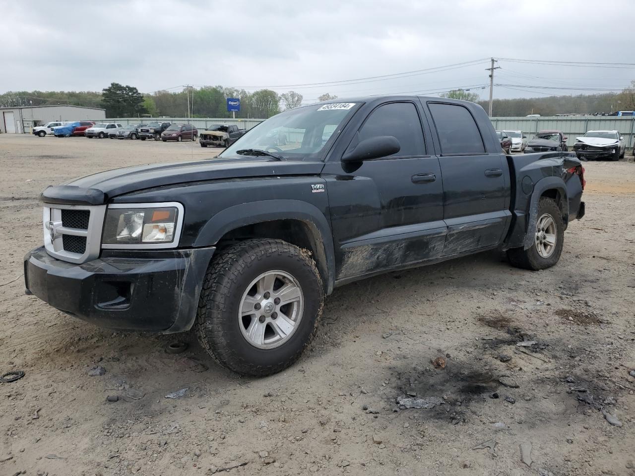 dodge dakota 2010 1d7rw7gp7as107480