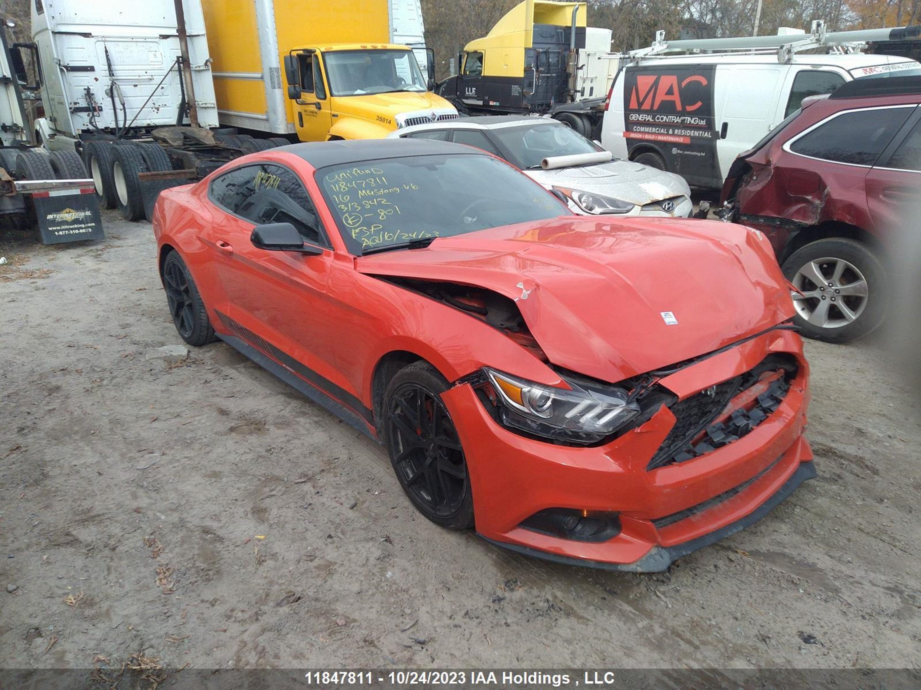 ford mustang 2016 1fa6p8amxg5313842