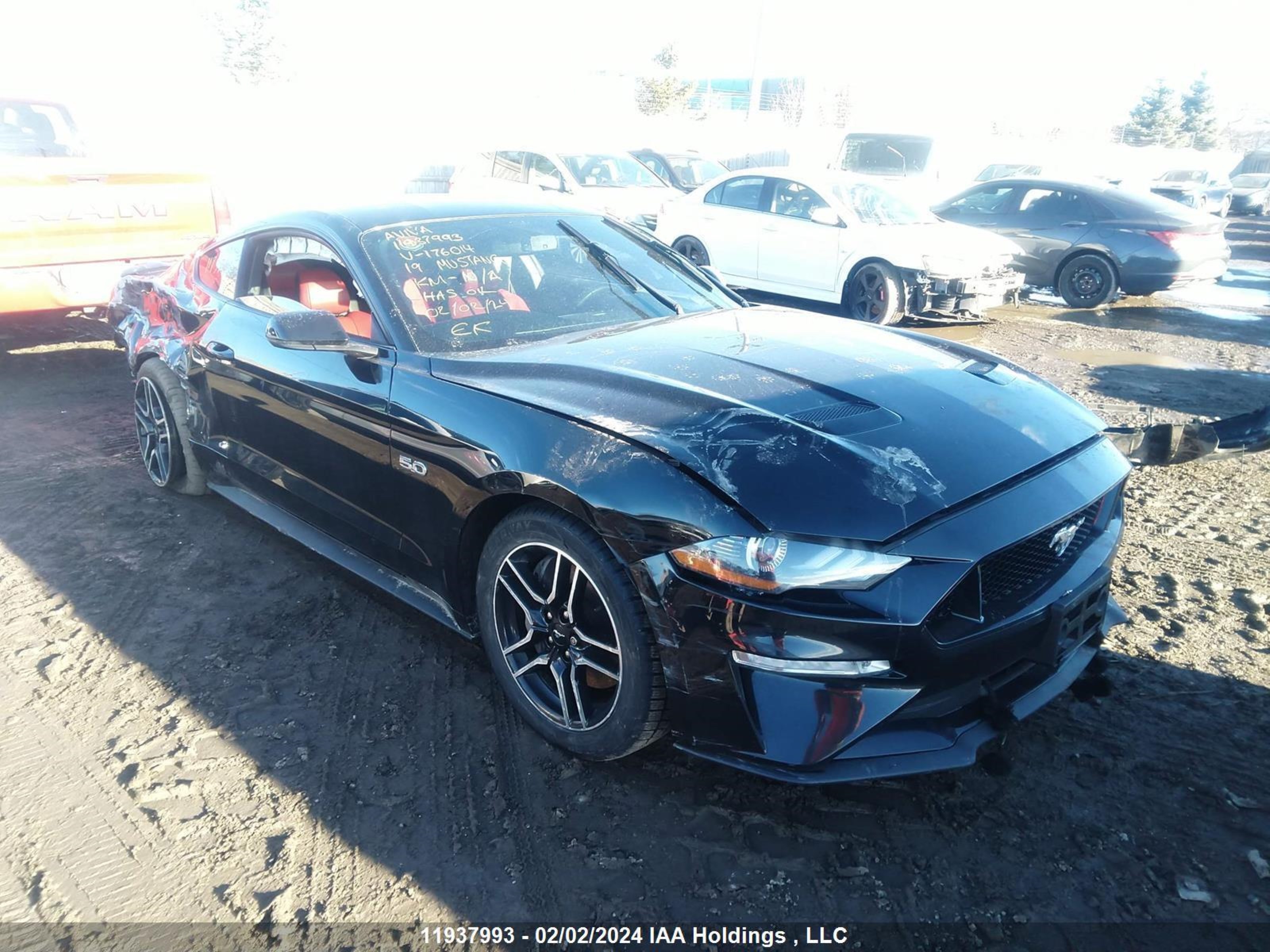 ford mustang 2019 1fa6p8cf0k5176014