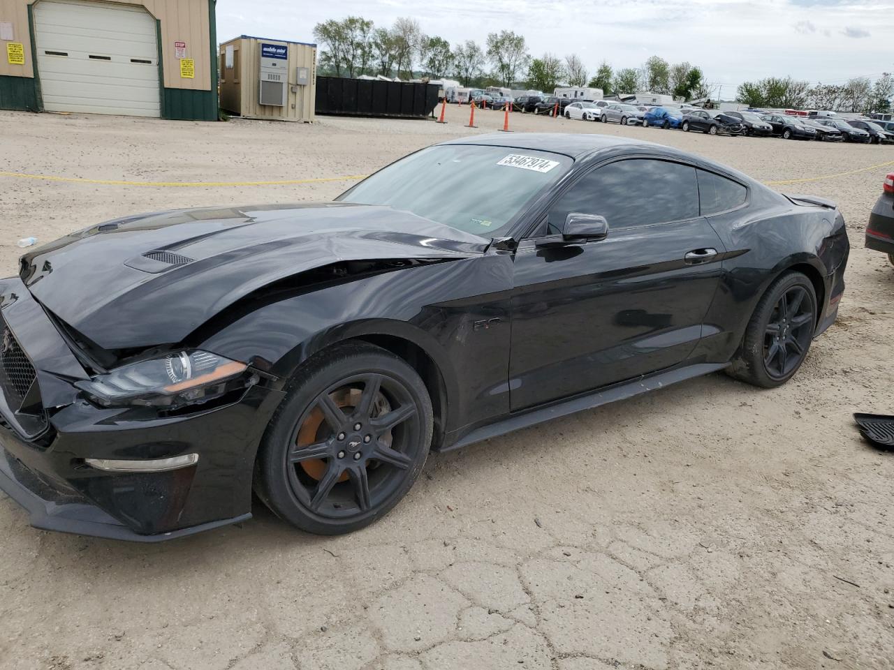 ford mustang 2019 1fa6p8cf1k5124892