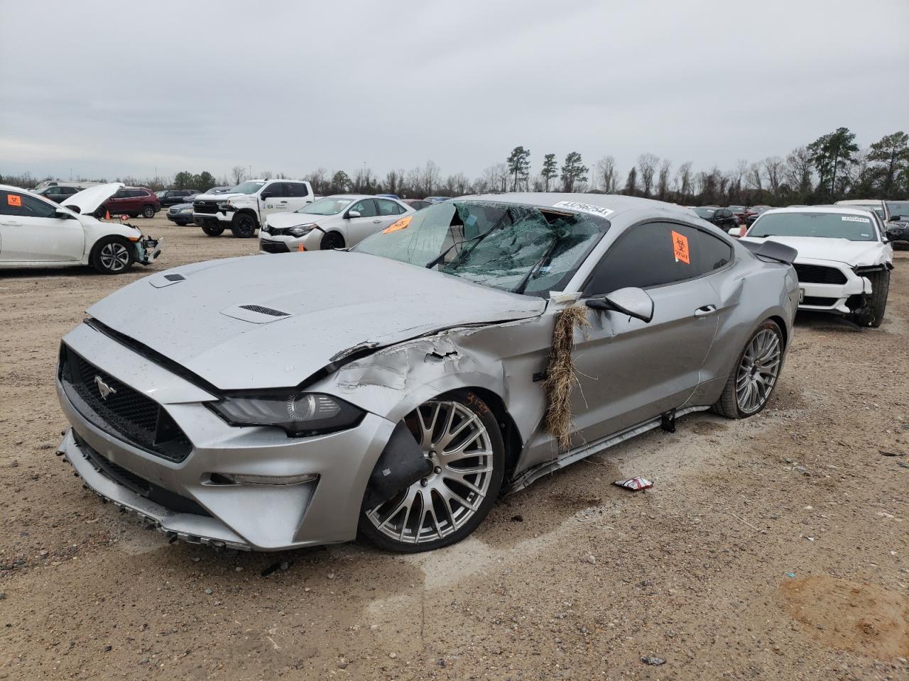 ford mustang 2020 1fa6p8cf3l5119419