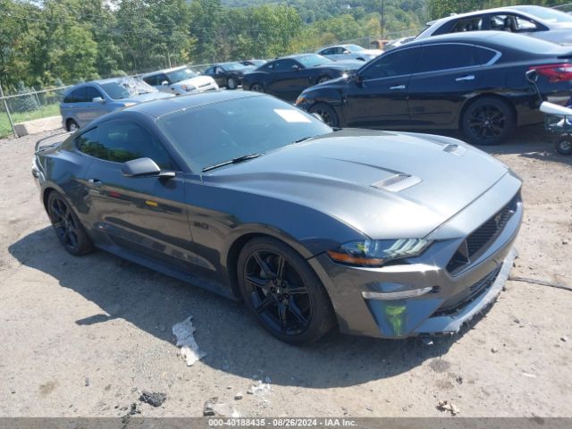 ford mustang 2019 1fa6p8cf5k5122045