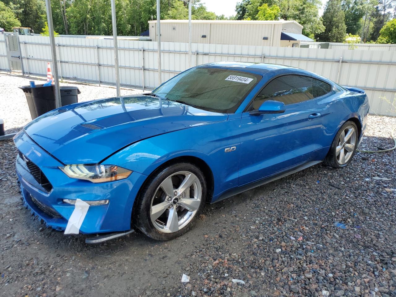 ford mustang 2019 1fa6p8cf5k5190961