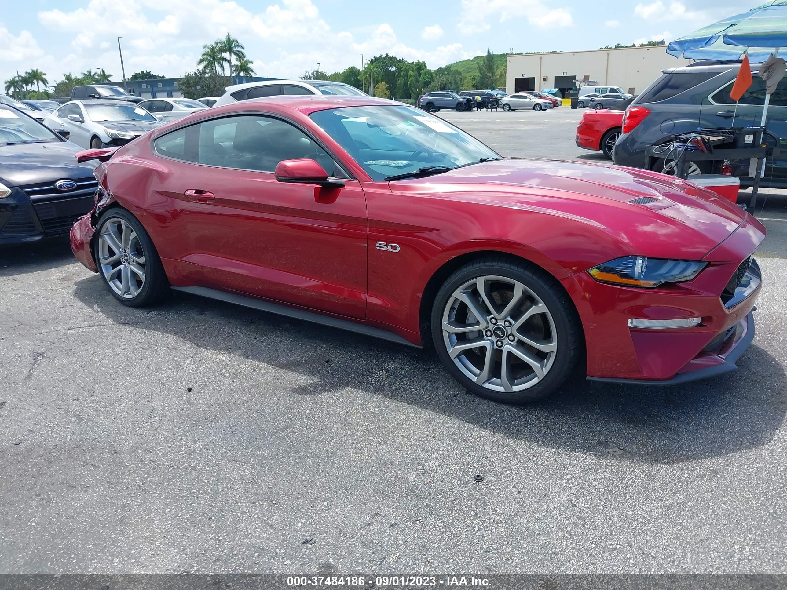 ford mustang 2019 1fa6p8cf7k5184305