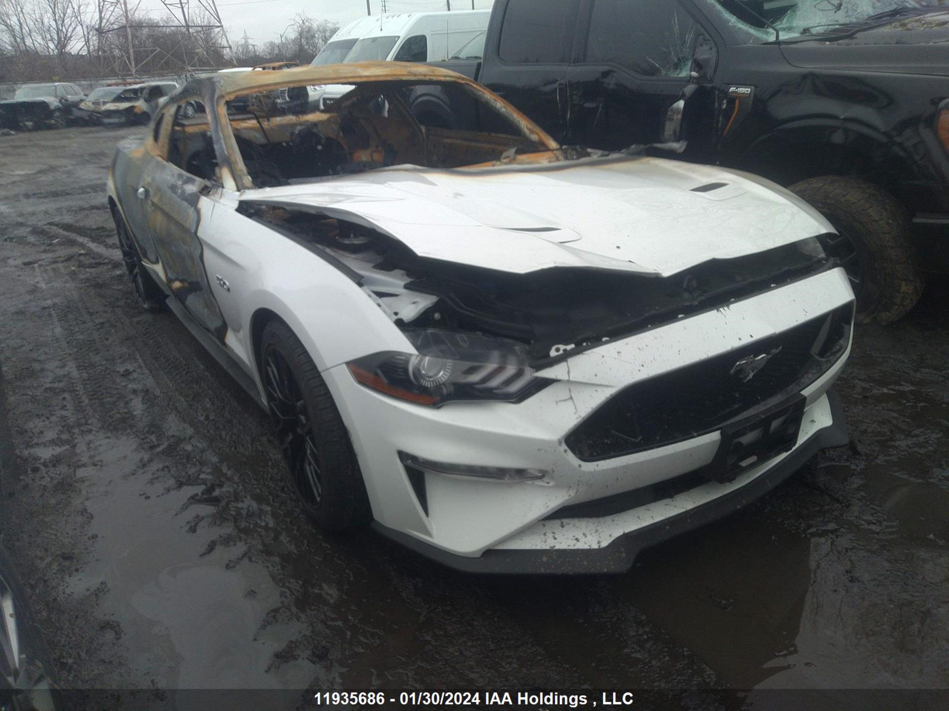 ford mustang 2022 1fa6p8cf8n5118186