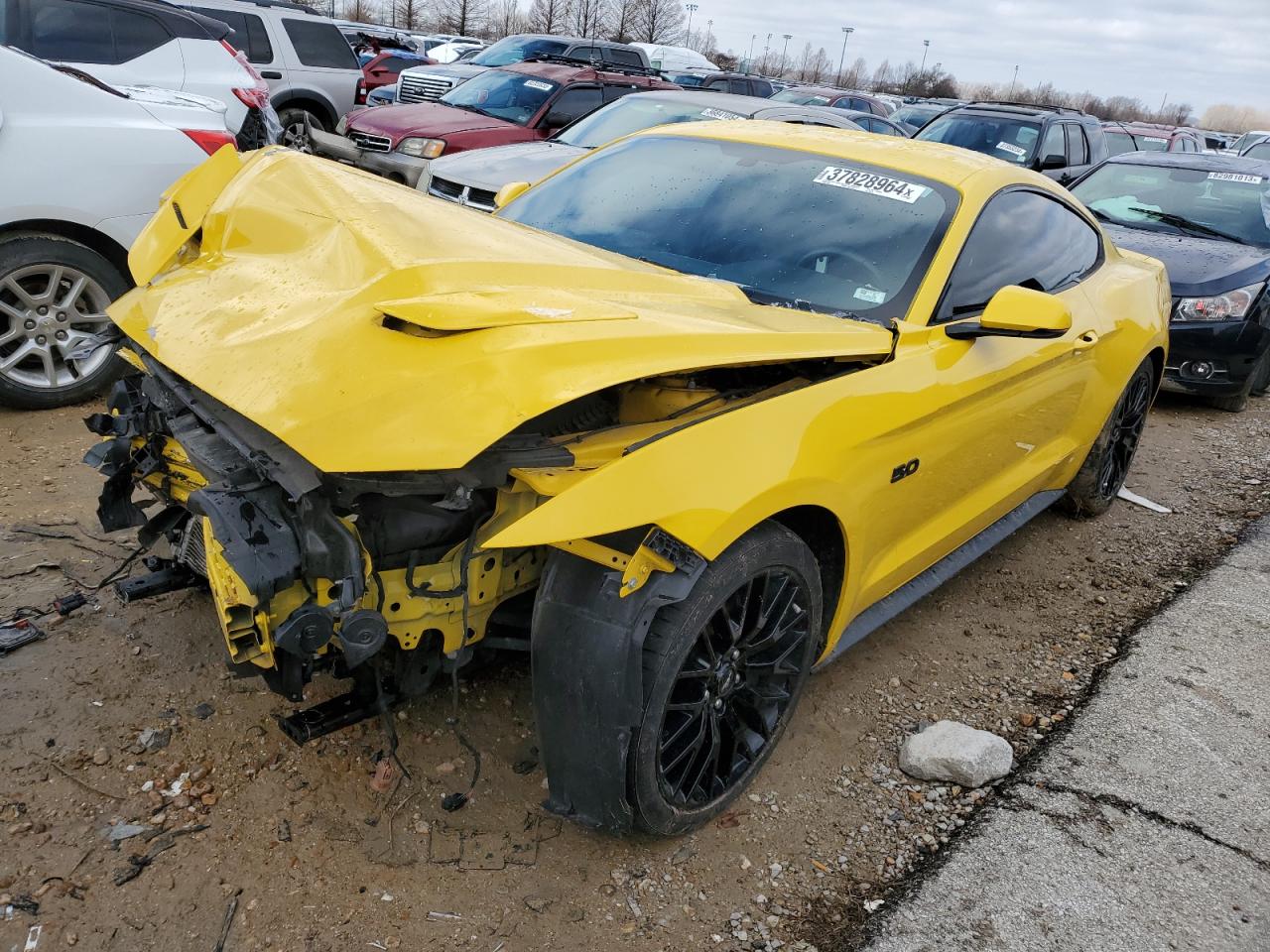 ford mustang 2015 1fa6p8cf9f5301369