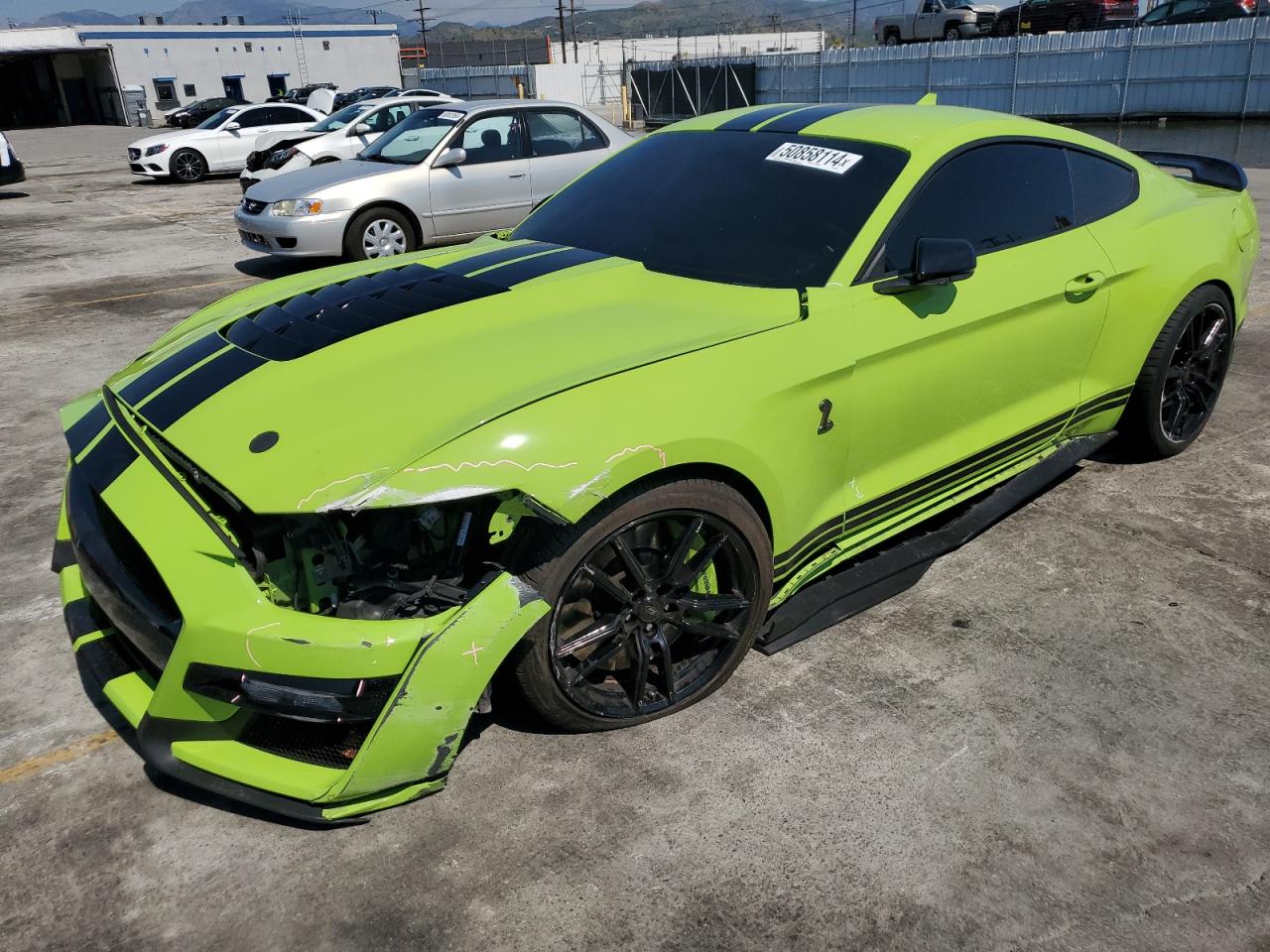 ford mustang 2020 1fa6p8sj1l5504631