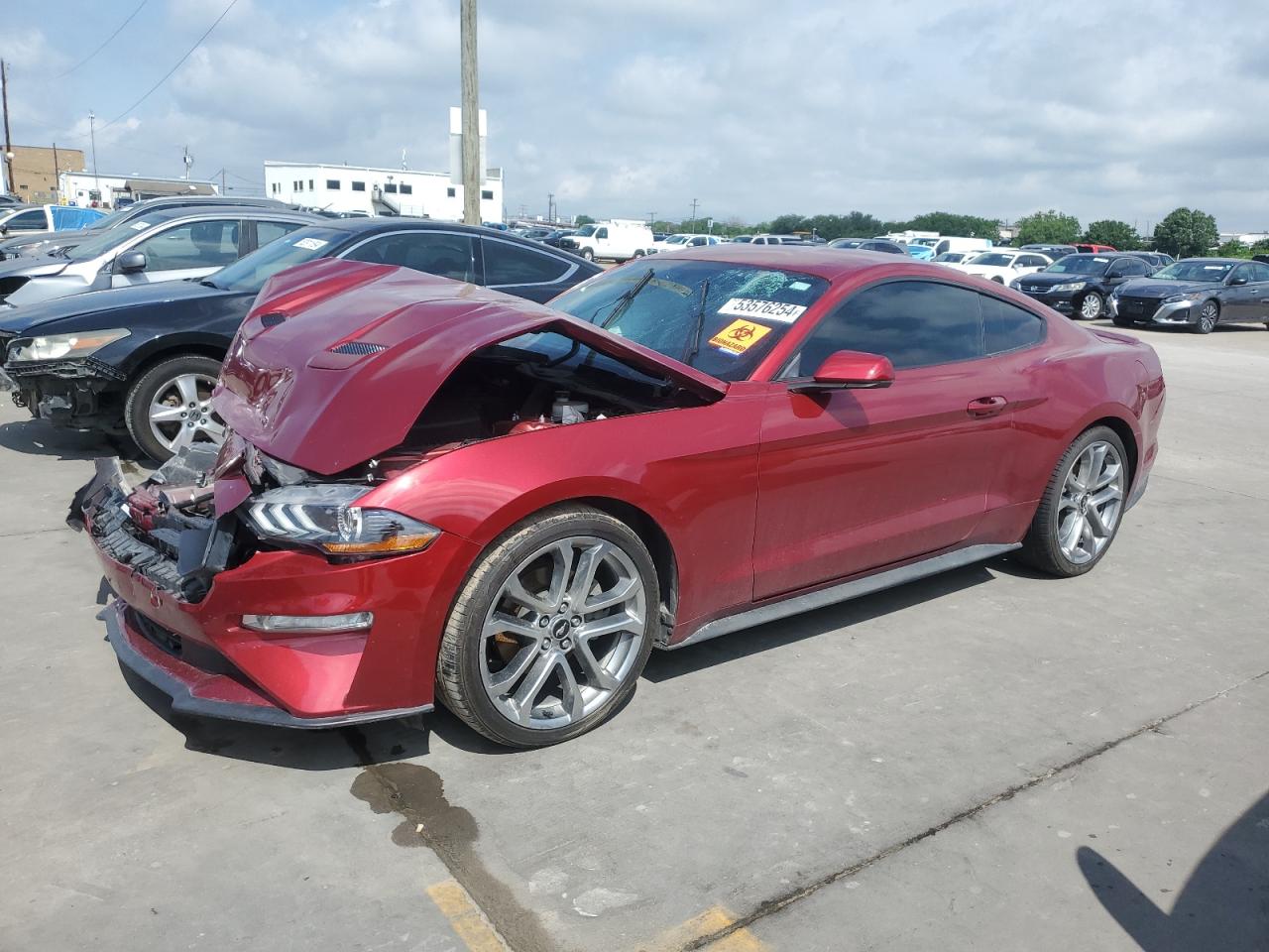 ford mustang 2019 1fa6p8th0k5117921