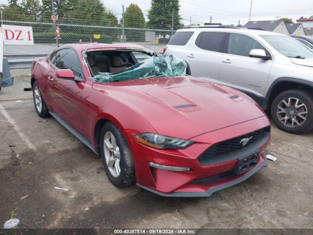 ford mustang 2019 1fa6p8th0k5194160