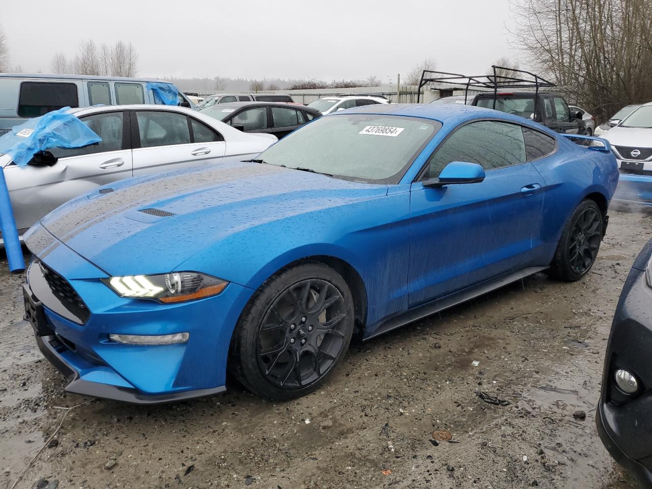ford mustang 2019 1fa6p8th2k5154582