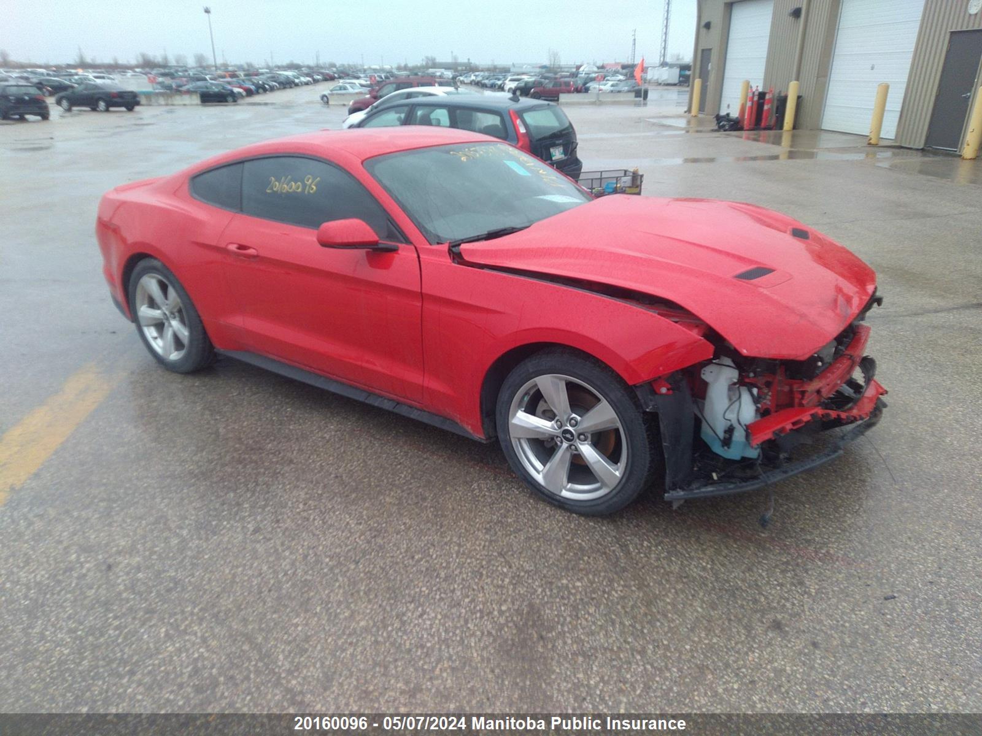 ford mustang 2019 1fa6p8th2k5155005