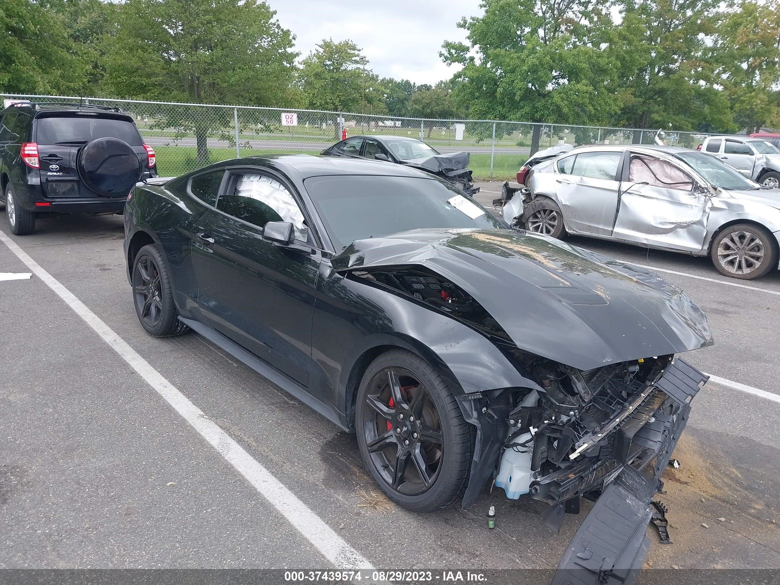 ford mustang 2019 1fa6p8th3k5146586