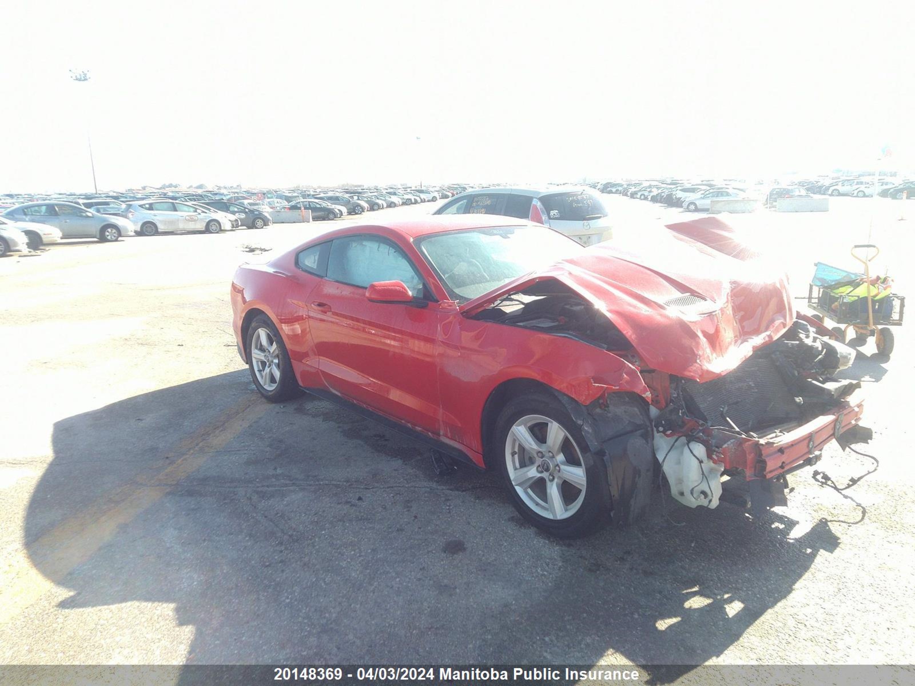 ford mustang 2019 1fa6p8th3k5164473