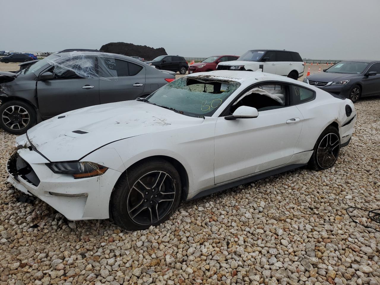 ford mustang 2022 1fa6p8th3n5104567