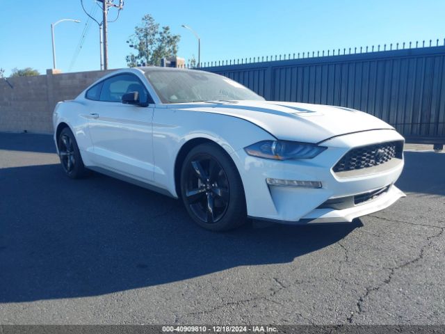 ford mustang 2022 1fa6p8th3n5132627