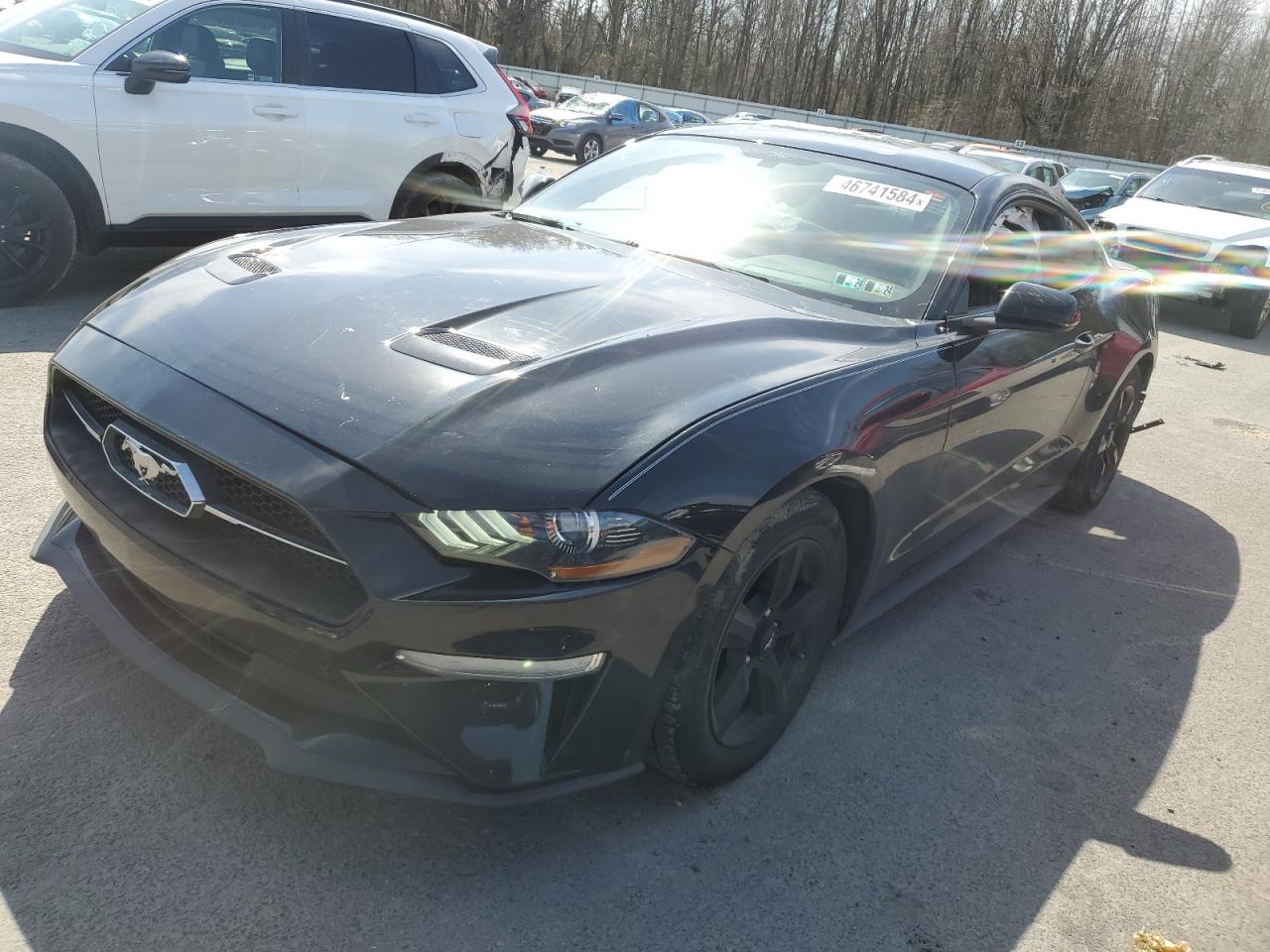 ford mustang 2019 1fa6p8th4k5182464