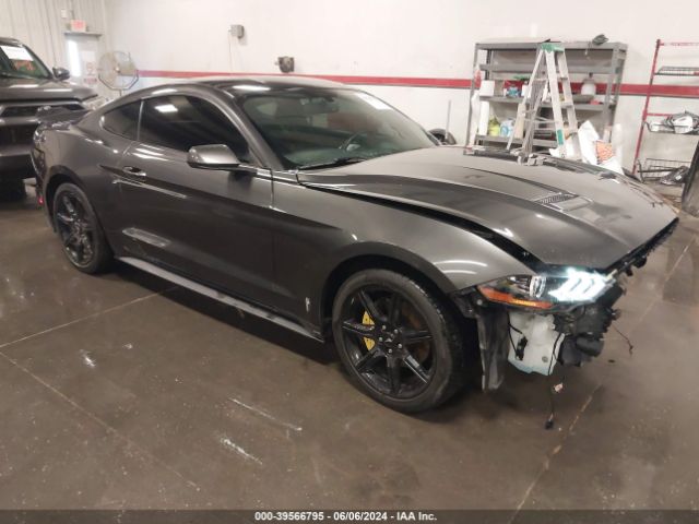 ford mustang 2019 1fa6p8th8k5134692