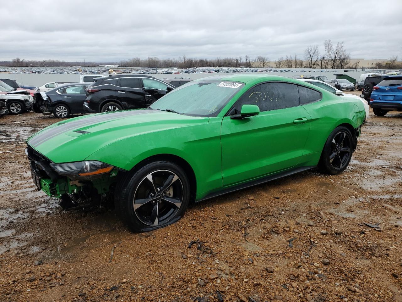 ford mustang 2019 1fa6p8th8k5185335