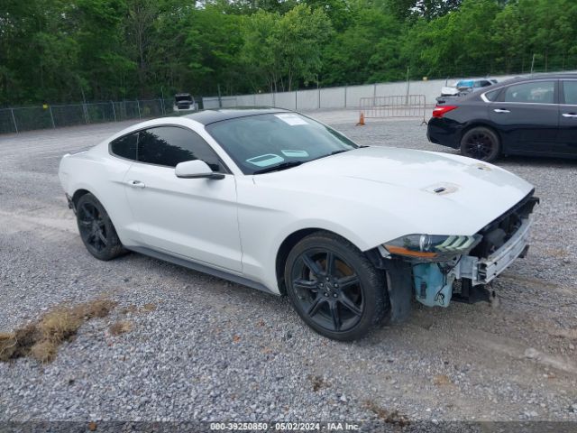 ford mustang 2019 1fa6p8th9k5161884