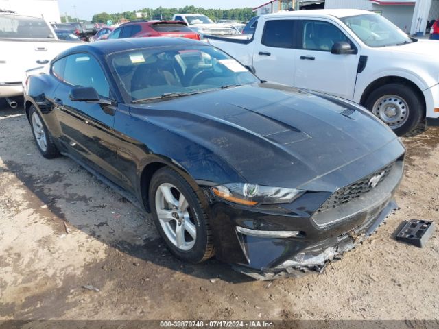 ford mustang 2019 1fa6p8thxk5167516