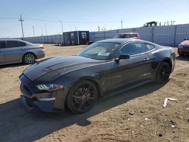 ford mustang 2023 1fa6p8thxp5101006