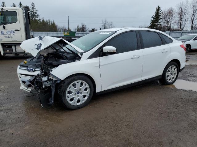 ford focus 2013 1fadp3f29dl356366