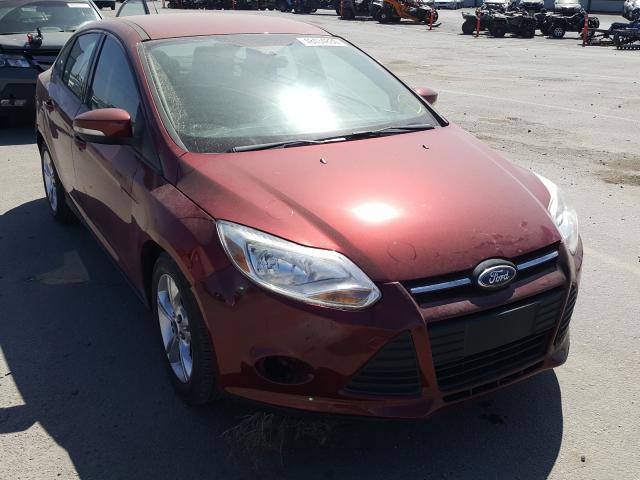 ford  2014 1fadp3f29el355834