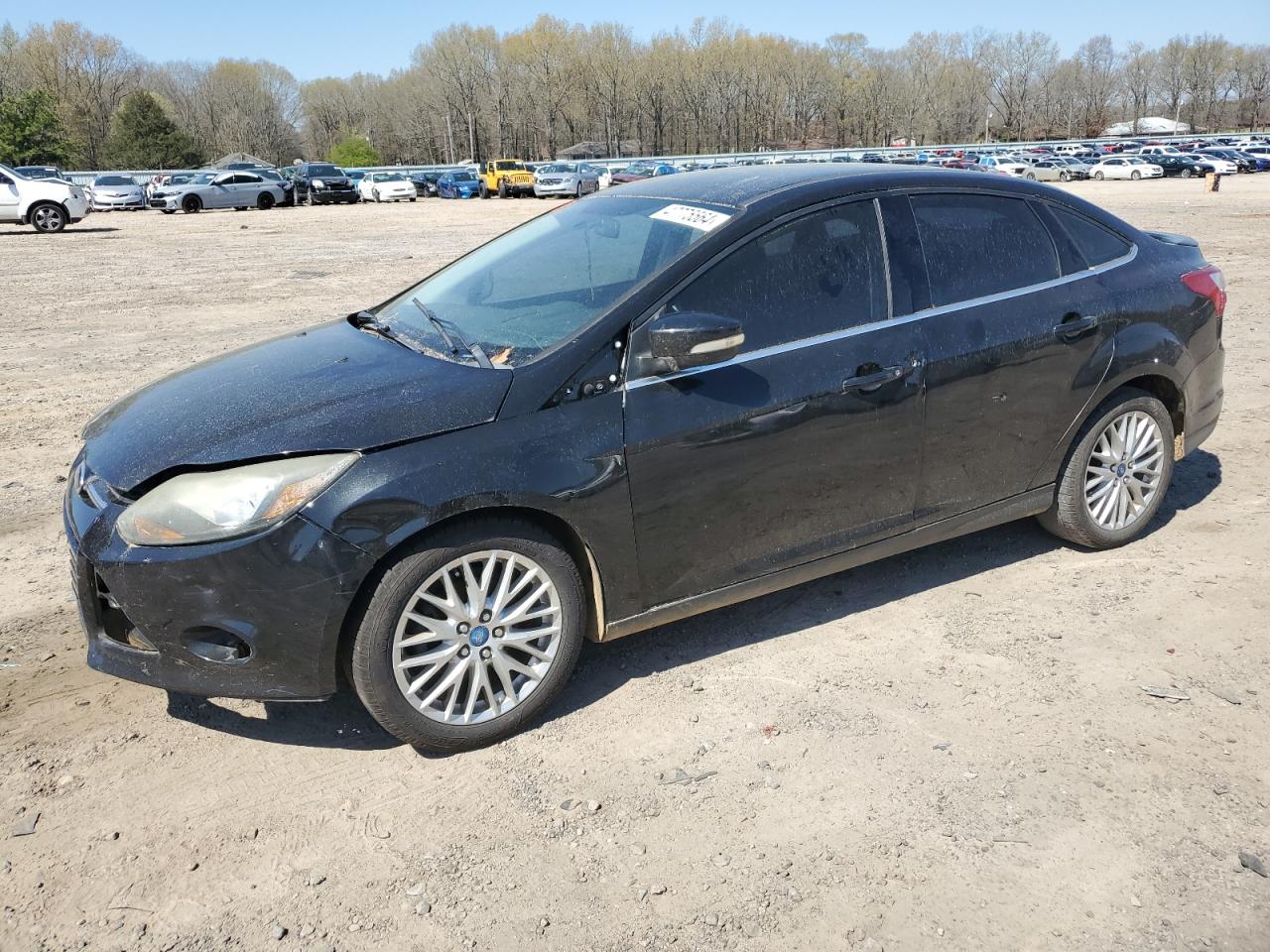 ford focus 2013 1fadp3j29dl241032