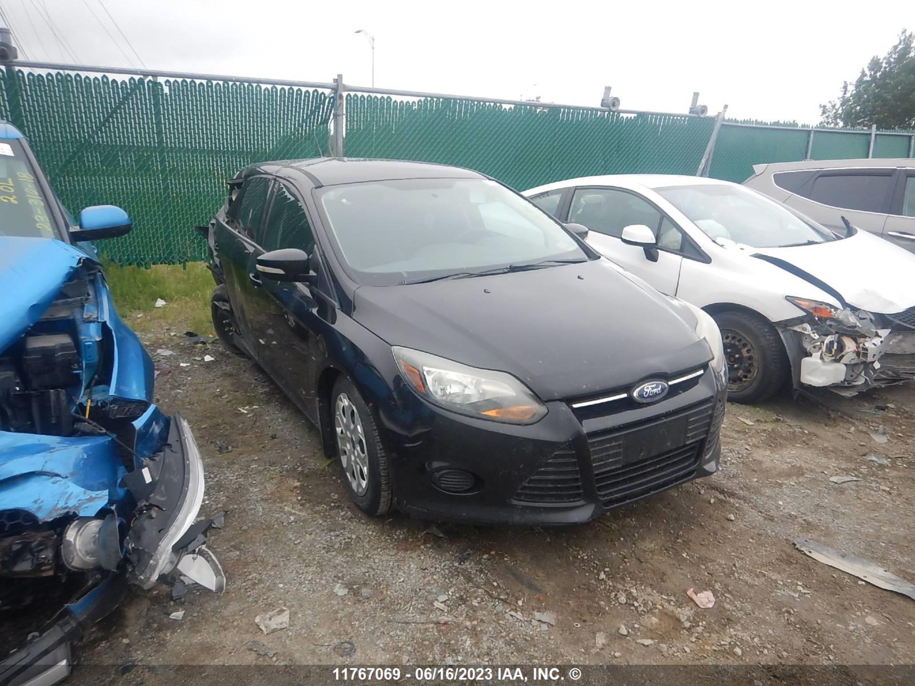 ford focus 2013 1fadp3k2xdl365003