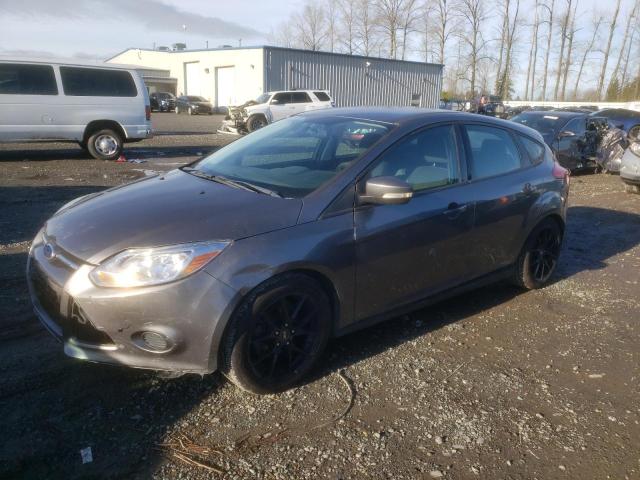 ford focus 2014 1fadp3k2xel170374