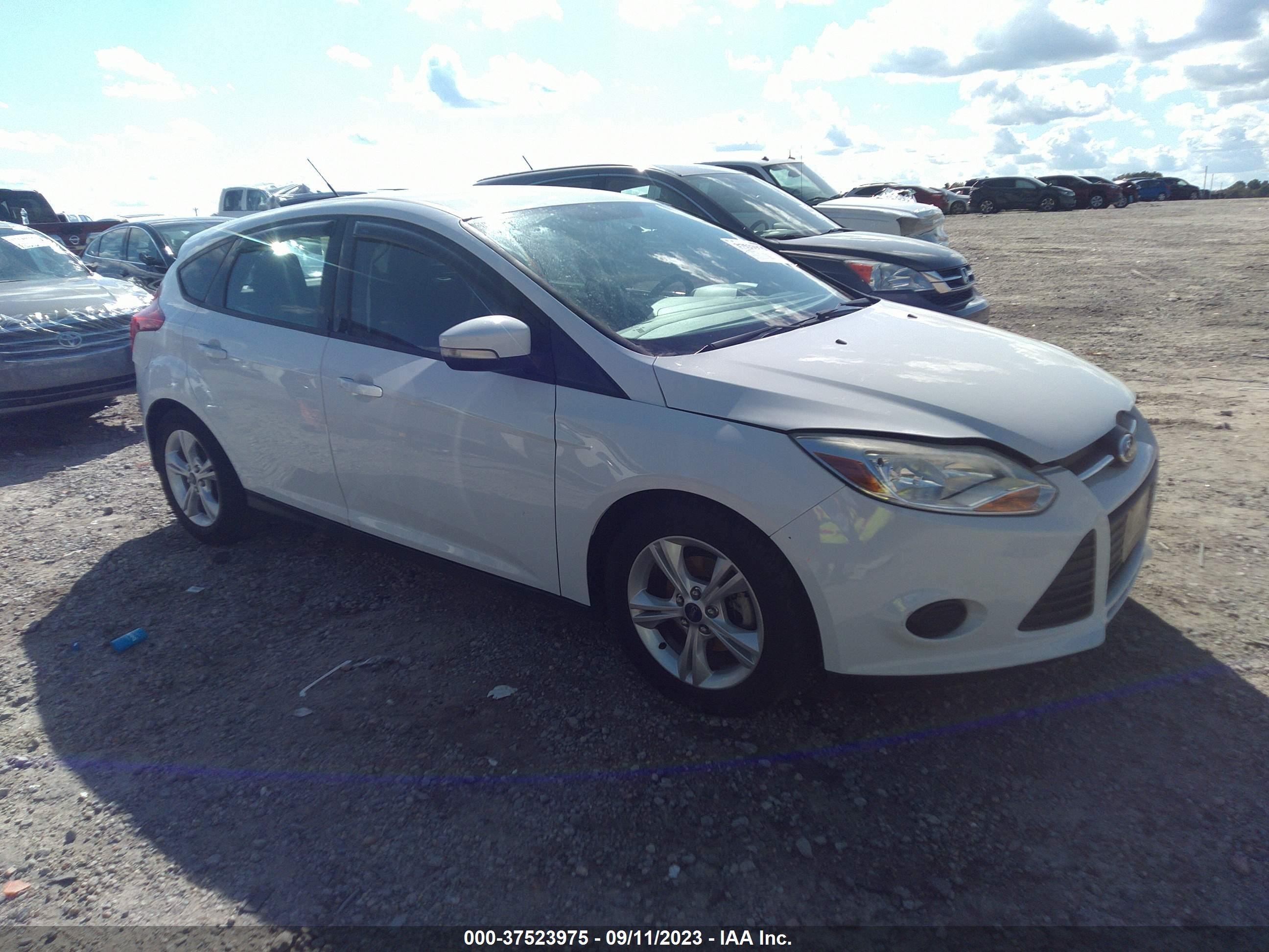 ford focus 2014 1fadp3k2xel445645