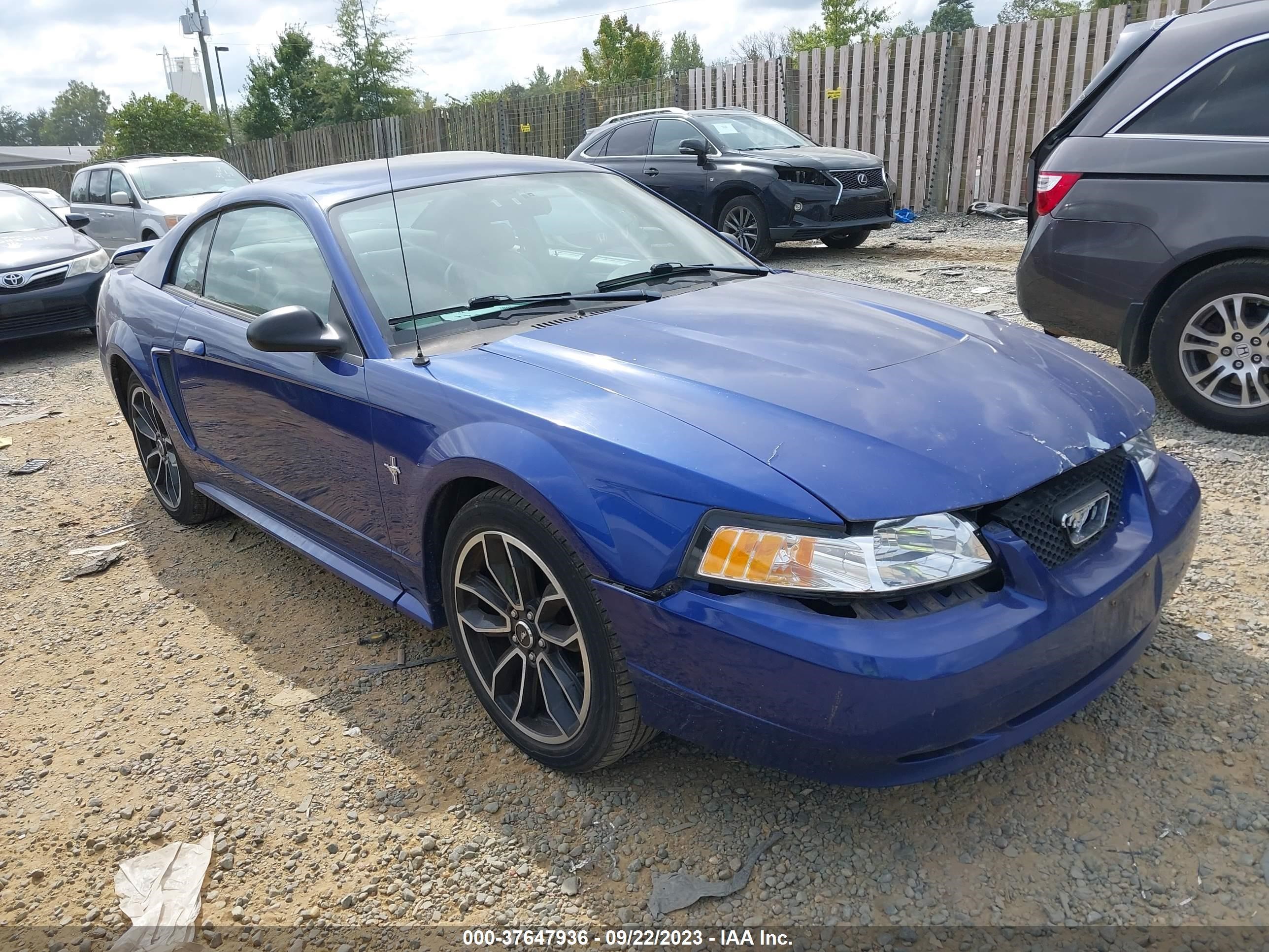 ford mustang 2003 1fafp404x3f306839