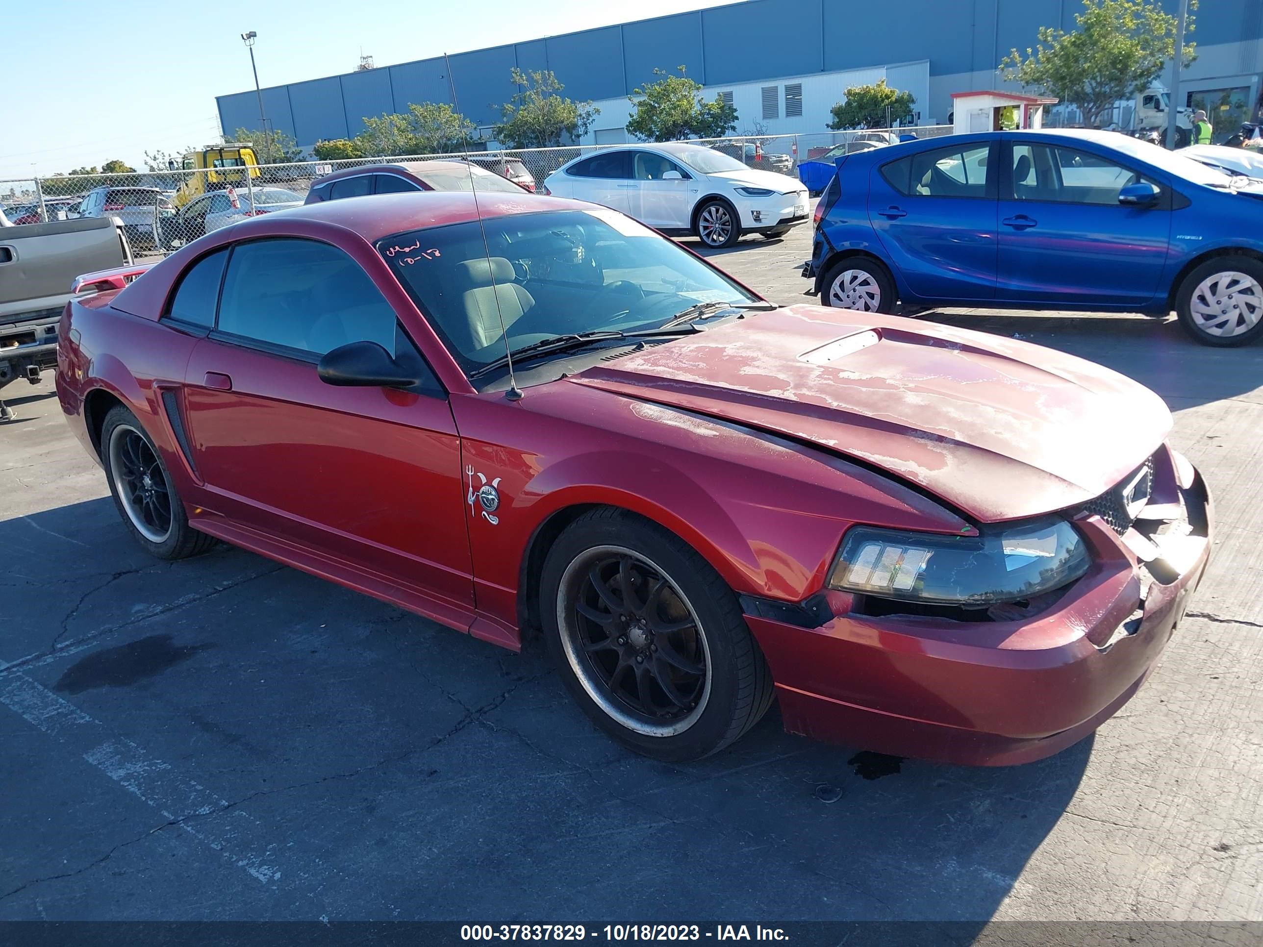 ford mustang 2004 1fafp40654f141205