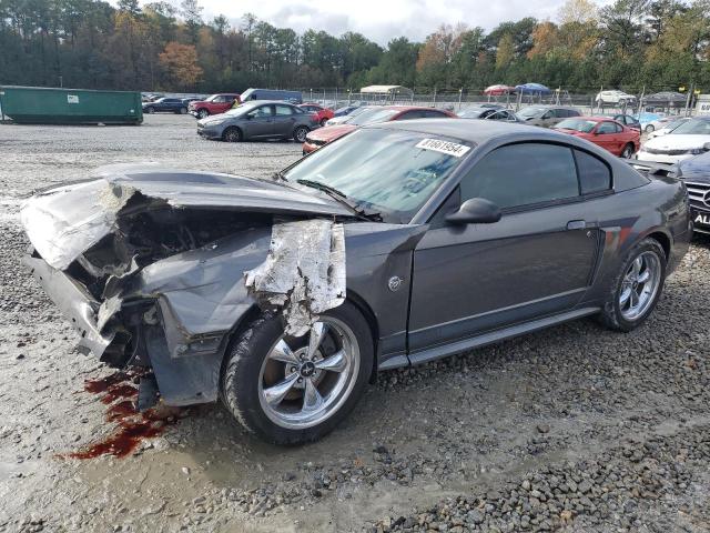 ford mustang ma 2004 1fafp42r44f233610